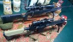 SIG & PWS 308 Rifles 1 copy.JPG