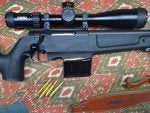 Sig 308 SSG 3000 Rifle Mag copy.JPG